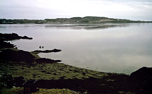 Passamaquoddy Bay
